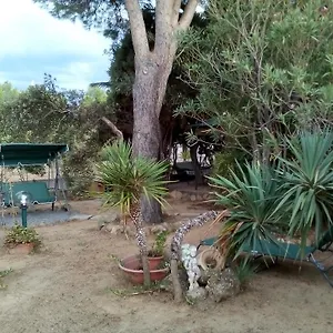 Il Vigneto Bed & Breakfast